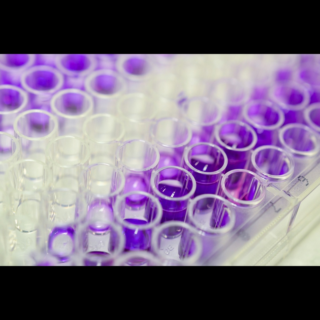 Human Tnfaip3size:interacting Protein 3, TNIP3 ELISA Kit, 96 tests